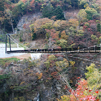 鬼怒楯岩大吊橋